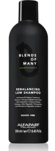 Alfaparf Milano Korpásodás elleni sampon Blends of Many (Rebalancing Low Shampoo) 250 ml