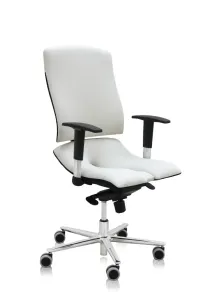 Asana Steel Standard ergonomikus irodai szék Kárpit színe: Atlantic Fehér 60063, Kartámla: kartámlával együtt