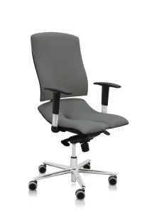 Asana Steel Standard ergonomikus irodai szék Kárpit színe: Atlantic Szürke 60142, Kartámla: kartámlával együtt
