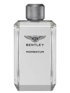 Bentley Momentum EDT 100 ml Parfüm