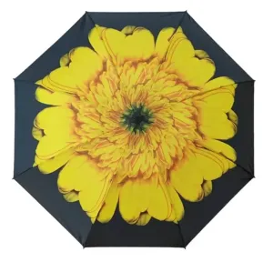 Blooming Brollies Női összecsukható esernyő EDRFFSF