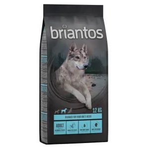 2x12kg Briantos Adult lazac & burgonya - gabonamentes száraz kutyatáp 10% árengedménnyel