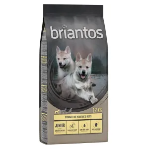 2x12kg Briantos Junior csirke & burgonya - gabonamentes száraz kutyatáp 10% árengedménnyel