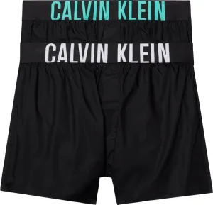 Calvin Klein 2 PACK - férfi alsónadrág NB3833A-MVL L
