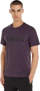 Calvin Klein Férfi póló Regular Fit NM1959E-VE5 L
