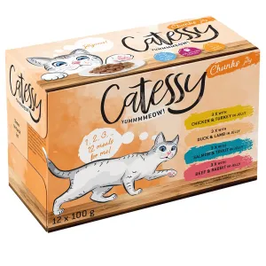 48x100g Catessy falatok aszpikban gabonamentes nedves macskatáp 4 ízzel
