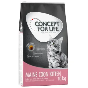 10g Concept for Life Maine Coon Kitten - javított receptúrájú száraz macskatáp