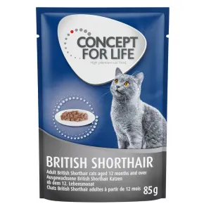 48x85g Concept for Life British Shorthair Adult (ragu-minőség) nedves macskatáp rendlívüli árengedménnyel