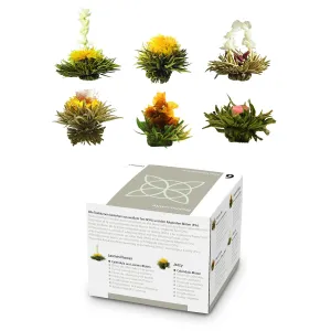 Feelino Teavirágok, 6 különböző fajta, egyenként csomagolva, nagyon produktív