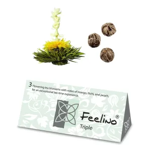Feelino Teavirágok, 6 különböző fajta, egyenként csomagolva, nagyon produktív #33188