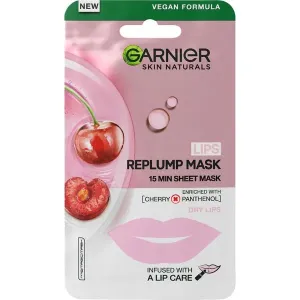 Garnier Ajakmaszk Skin Naturals (Replump Mask) 5 g