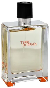 Hermes Terre D´ Hermes - EDT - TESZTER 100 ml
