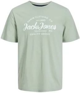 Jack&Jones Férfi póló JJFOREST Standard Fit 12247972 Desert Sage S