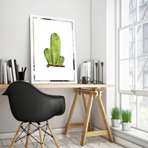 Tükor falikép Kaktusz Mirrora 68 - 60x40 cm  (Képek Mirrora)