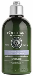 L`Occitane en Provence Gyengéd kondicionáló Gentle & Balance (Conditioner) 250 ml