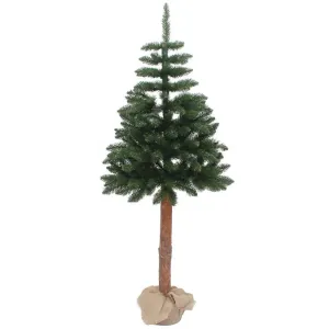 Karácsonyfa lucfenyő a tuskón 220 cm