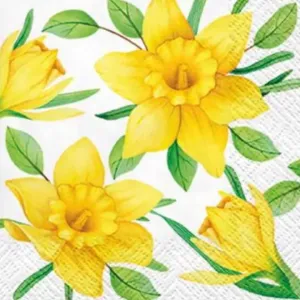 Decoupage szalvéták Daffodils in Bloom - 1 db (decoupage szalvéták)