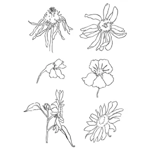 Transzparens pecsételők -  réti virágok (szilikon pecsétek)