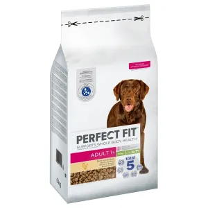 6kg Perfect Fit Adult (>10kg) száraz kutyatáp 15% kedvezménnyel