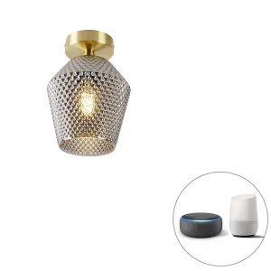 Intelligens mennyezeti sárgaréz lámpa füstüveggel, WiFi A60 - Karce