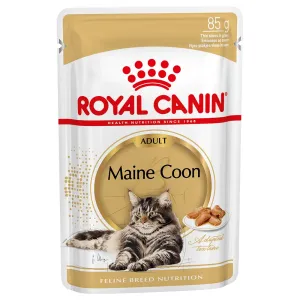 24x85g Royal Canin Maine Coon Adult szószban nedves macskatáp