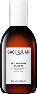 Sachajuan Sampon a szennyeződések lerakódása ellen (Anti Pollution Shampoo) 250 ml