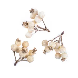 3D dekoratív ágak fehér bogyókkal (Karácsonyi dísz ) #456968