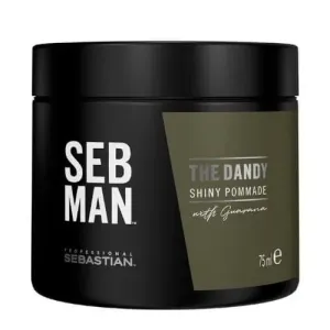Sebastian Professional Hajpomádé SEB MAN The Dandy (Shiny Pommade) 75 ml