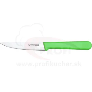 HACCP-kés, zöld, 9cm