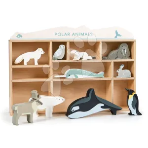 Fa sarkvidéki állatok polcon Tender Leaf Toys 10 fajta sarkvidéki állatka