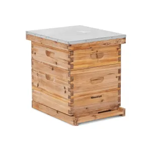 Dadant méhkaptár - 2 keret és padlókazetta bemeneti nyílással | Wiesenfield