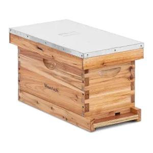 Langstroth méhkaptár - 2 keret és padlókazetta bemeneti nyílással | Wiesenfield #1102284