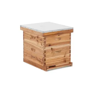 Langstroth méhkaptár - 2 keret és padlókazetta bemeneti nyílással | Wiesenfield #1102283