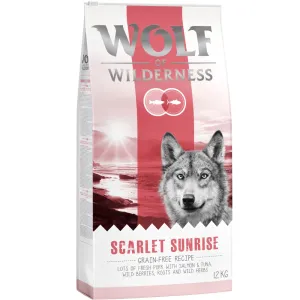 12 kg Wolf of Wilderness 