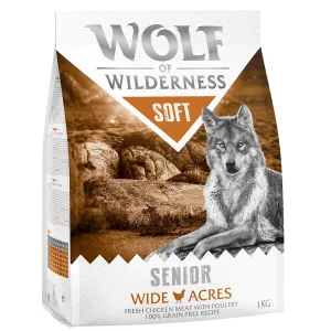 1kg Wolf of Wilderness Senior 