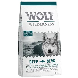 2x12kg Wolf of Wilderness Adult 