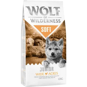 2x12kg Wolf of Wilderness Junior 