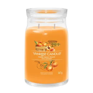 Yankee Candle Signature üveg 2 kanóc Farm Fresh Peach 567 g Gyertya, mécses