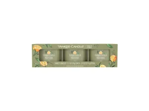 Yankee Candle Illatgyertya szett Sage & Citrus 3 x 37 g
